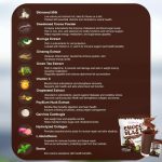 Glowming Shape Detox Choco Blast Chocolate Powder Drink Mix By CC