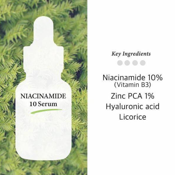 Ingredients-Cos De BAHA Niacinamide 10 Serum | Korean Beauty Products NZ