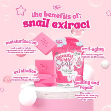 Snail extract benefits - You Glow Babe Beauty White Soap | Filipino Beauty Products NZ, Shop Filipino Beauty Brands NZ, Filipino Skin Care Shop Nz