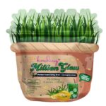 Kimsdiary Million Glow with Premium Russian Barley +Lemongrass Extract 10 sachets inside | Filipino Beauty Products NZ