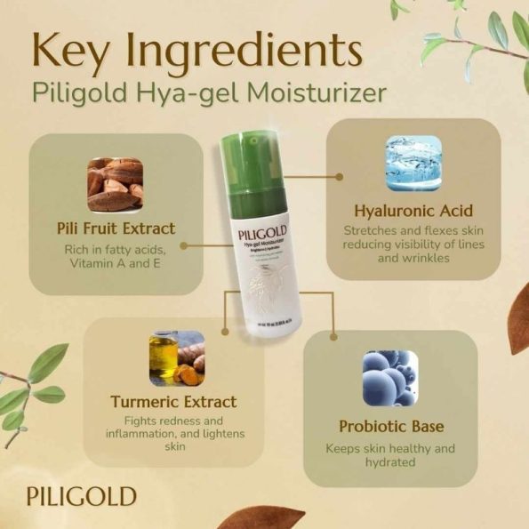 Ingredients-Mixtrue Beauty PILIGOLD Hya-Gel Moisturizer | Filipino Beauty Products NZ, Shop Filipino Beauty Brands NZ, Filipino Skin Care Shop Nz