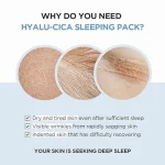 skin1004_MadagascarCentellaHyalu-CicaSleepingPack